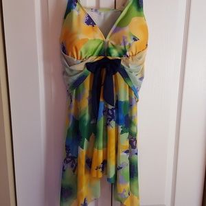 bathing suit dress